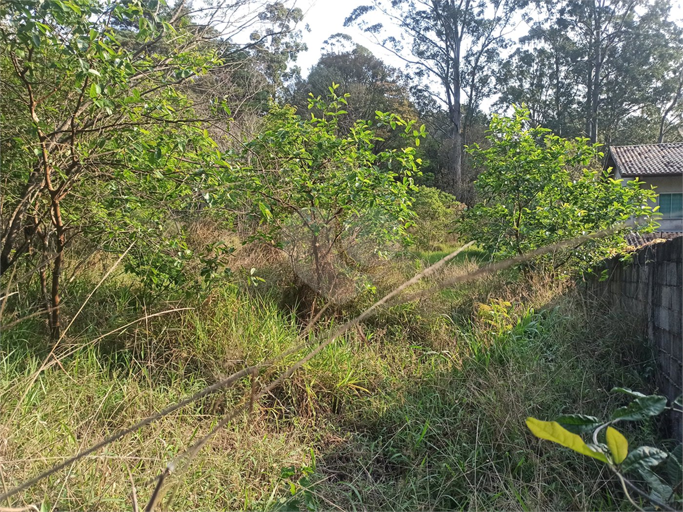 Terreno à venda em Bosque dos Eucalíptos, Atibaia, SP