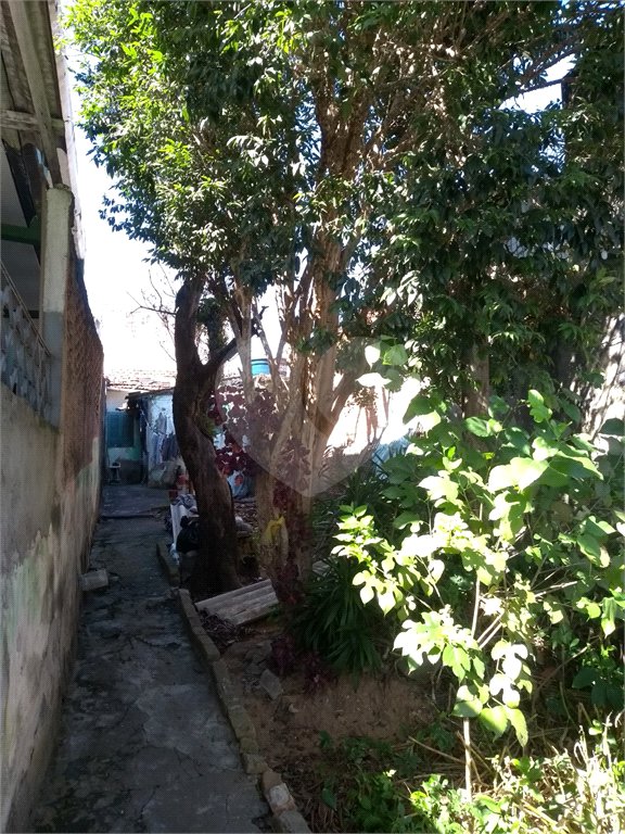 Área de Terra à venda com 1 quarto em Ferreira, São Paulo, SP