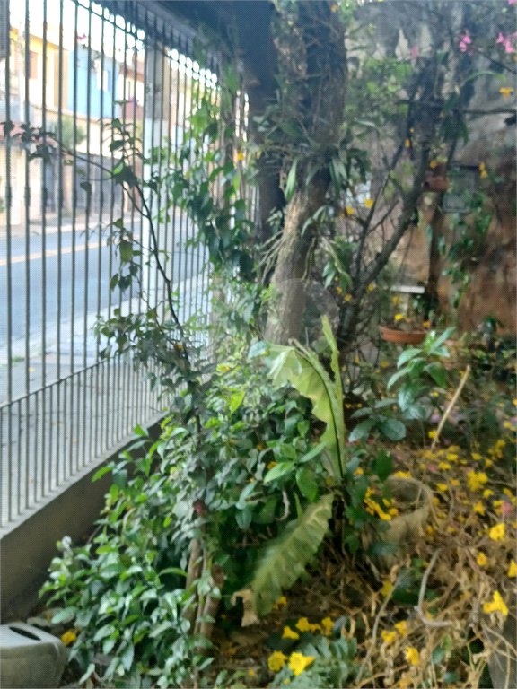 Casa à venda com 3 quartos, sendo 1 suíte, em Vila Nova Mazzei, São Paulo, SP