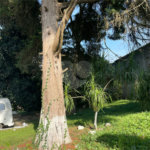 Casa à venda com 4 quartos no condomínio Jardim São Gonçalo, Mairiporã - SP