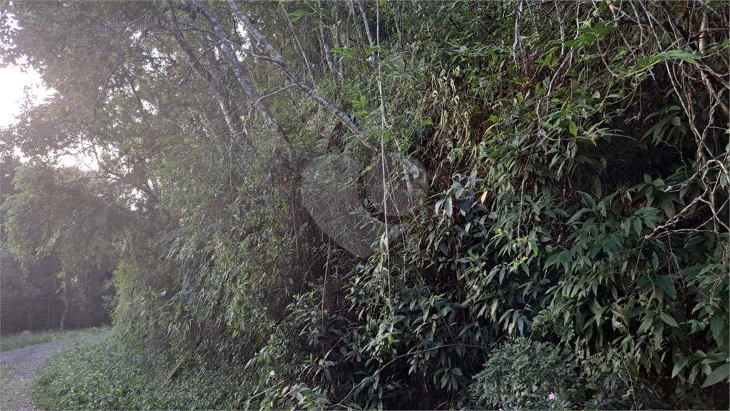 Terreno à venda no condomínio Associação Reserva das Hortênsias, Mairiporã - SP