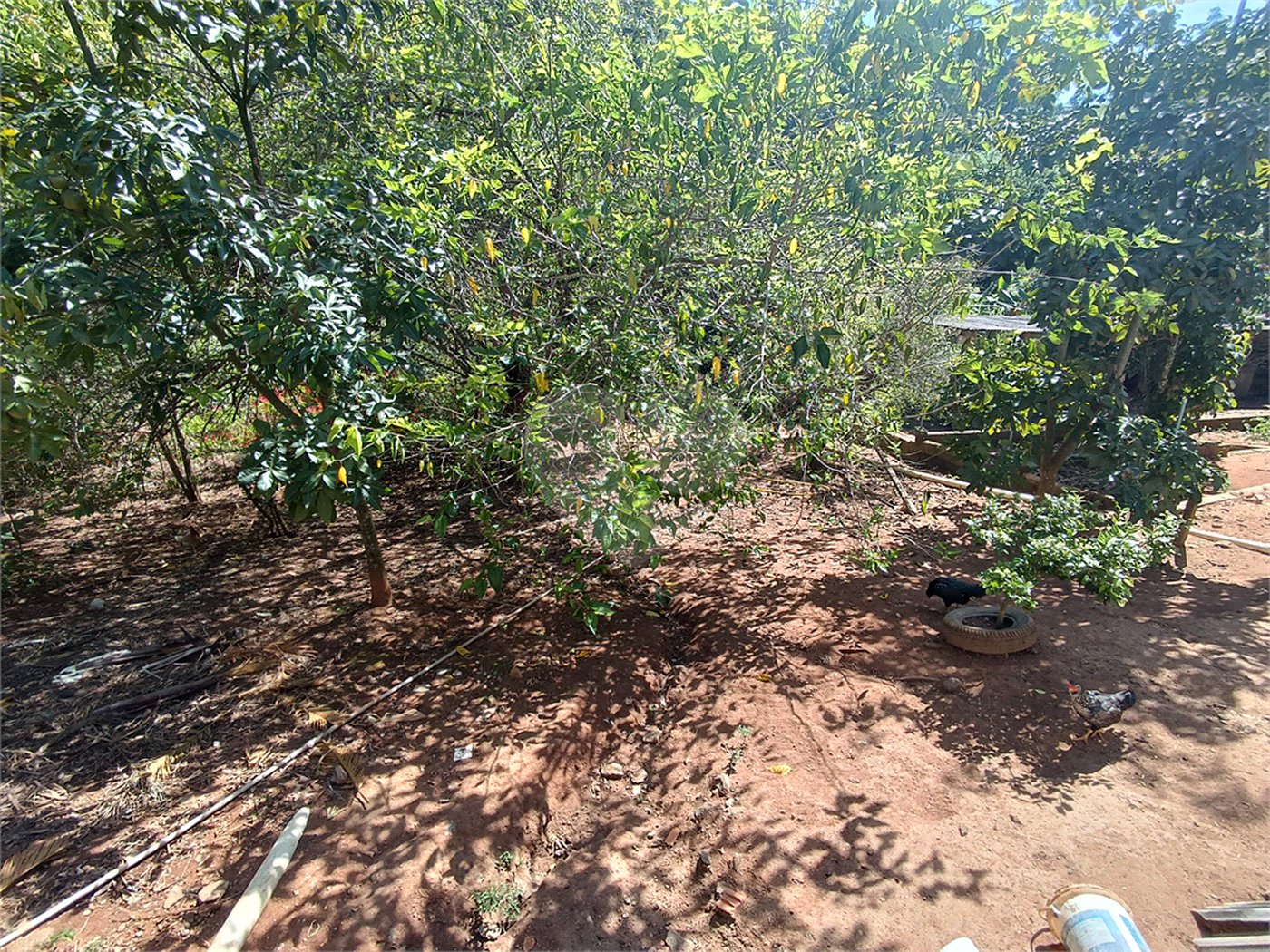 Chácara à venda com 7 quartos, sendo 1 suíte, no Centro (mailasqui), São Roque, SP