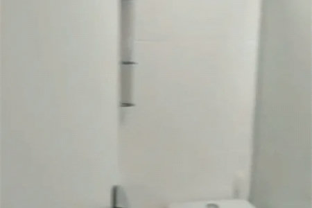 Apartamento à venda com 2 quartos em Jardim Ester Yolanda, São Paulo, SP