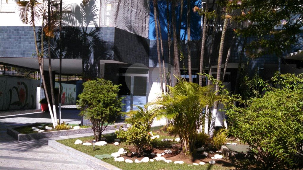 Apartamento à venda com 2 quartos em Cangaíba, São Paulo, SP