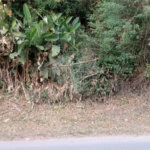 Terreno à venda em Serra da Cantareira, Mairiporã, SP