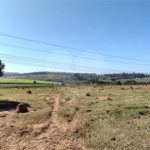 Sítio à venda com 2 suítes em Buru, Salto, SP