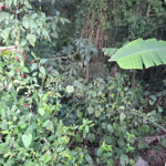 Terreno à venda no condomínio Residencial Bosque da Serra, Mairiporã - SP