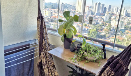 Apartamento à venda com 3 quartos, sendo 1 suíte,  em Vila Nova Cachoeirinha, São Paulo, SP