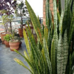 Apartamento à venda com 3 quartos, sendo 2 suítes,  em Jardim Parque Morumbi, São Paulo, SP