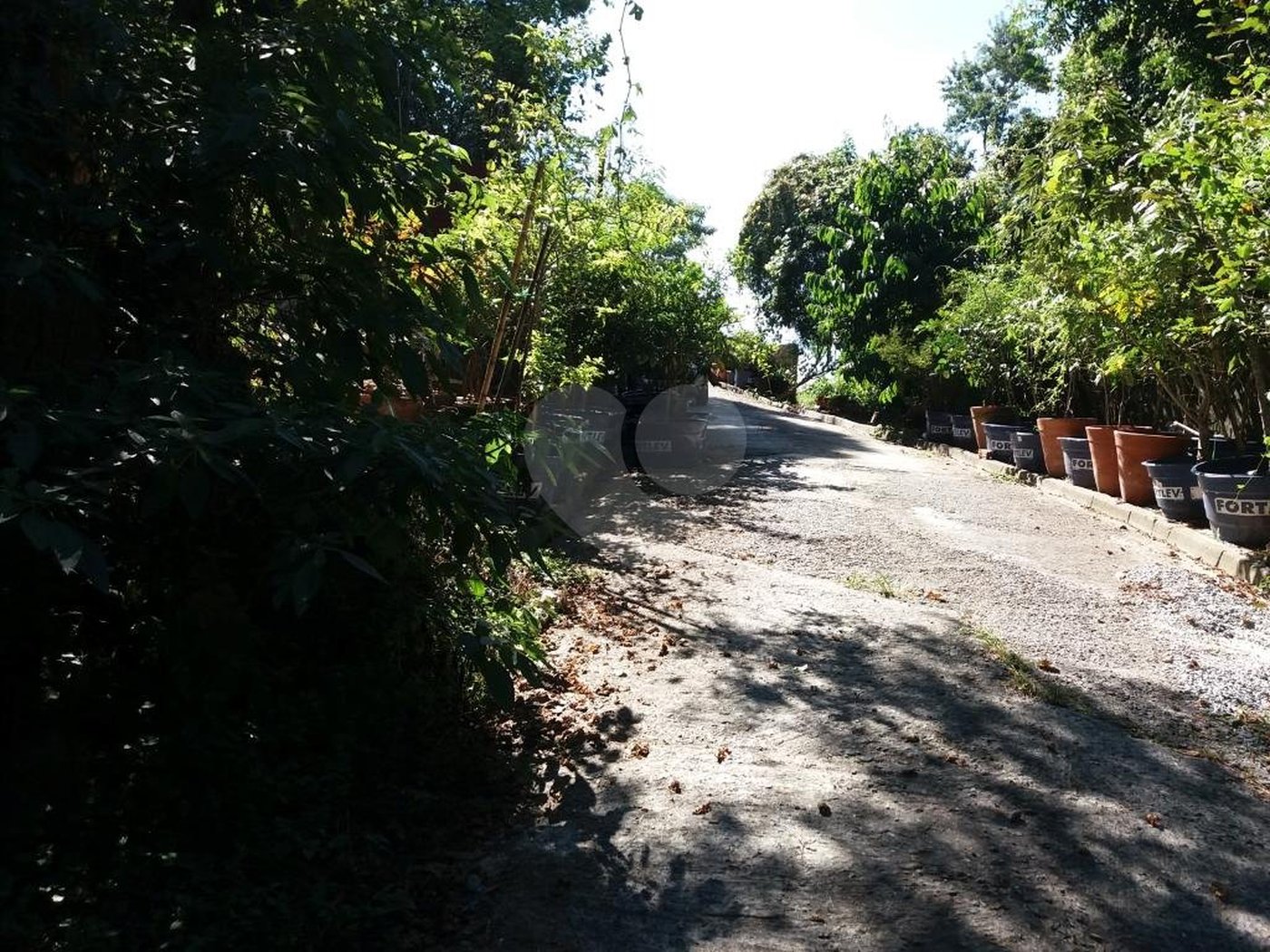 Terreno à venda em Tremembé, São Paulo, SP