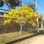 Chácara à venda com 3 suítes em Pavão (canguera), São Roque, SP