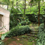 Apartamento à venda com 3 quartos, sendo 1 suíte, em Jardim Ampliação, São Paulo, SP