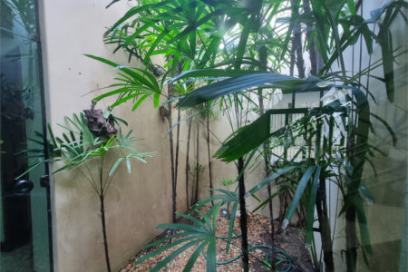 Sobrado à venda com 3 quartos, sendo 1 suíte,  em Vila Trujillo, Sorocaba, SP