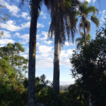 Sítio à venda com 3 quartos, sendo 1 suíte,  no Centro, Biritiba-mirim, SP