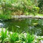 Terreno à venda em Jardim São Vicente, Cotia, SP