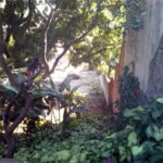 TERRENO EM ÓTIMA LOCALIZAÇÃO 760 METROS!