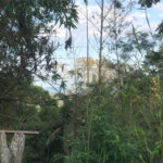 Terreno à venda em Serra da Cantareira, Mairiporã, SP