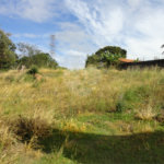 Terreno à venda em Vista Alegre, Vinhedo, SP