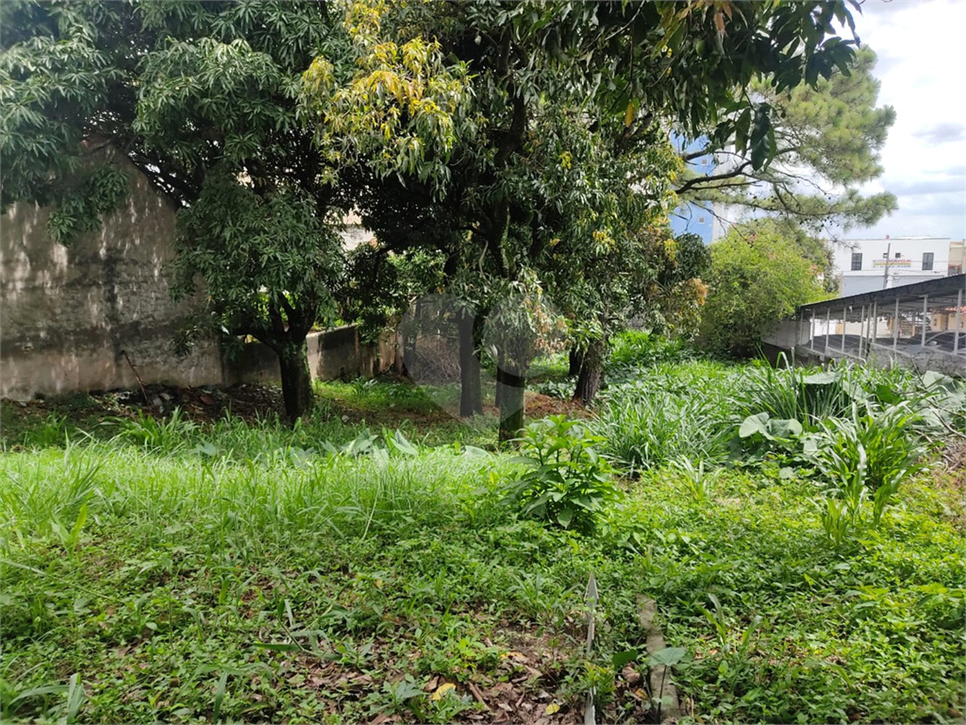 Terreno à venda em Macedo, Guarulhos, SP