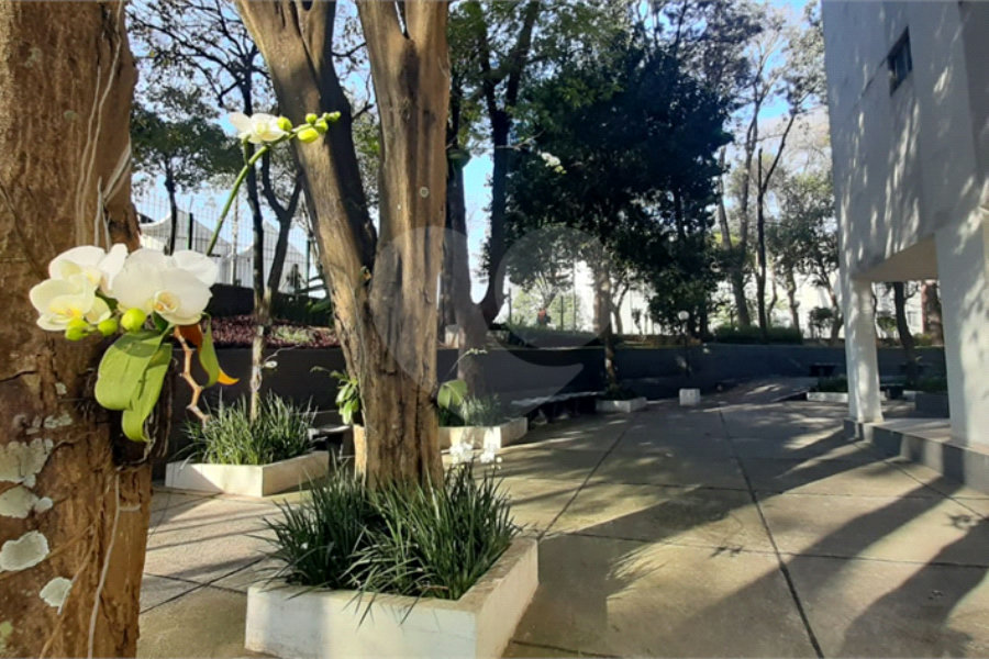 Apartamento à venda com 2 quartos em Mandaqui, São Paulo, SP