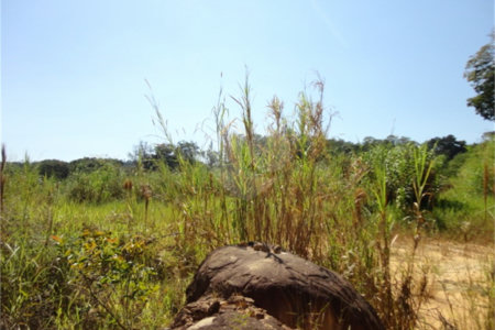 Terreno à venda ou para alugar em Cachoeira, Vinhedo, SP