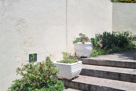 Apartamento à venda com 2 quartos em Parque Maria Domitila, São Paulo, SP