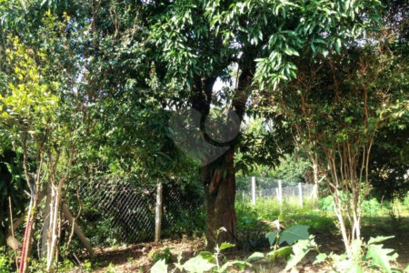 Casa à venda com 4 quartos em Capela, Vinhedo, SP