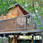 Casa à venda com 4 suítes em Tucuruvi, São Paulo, SP