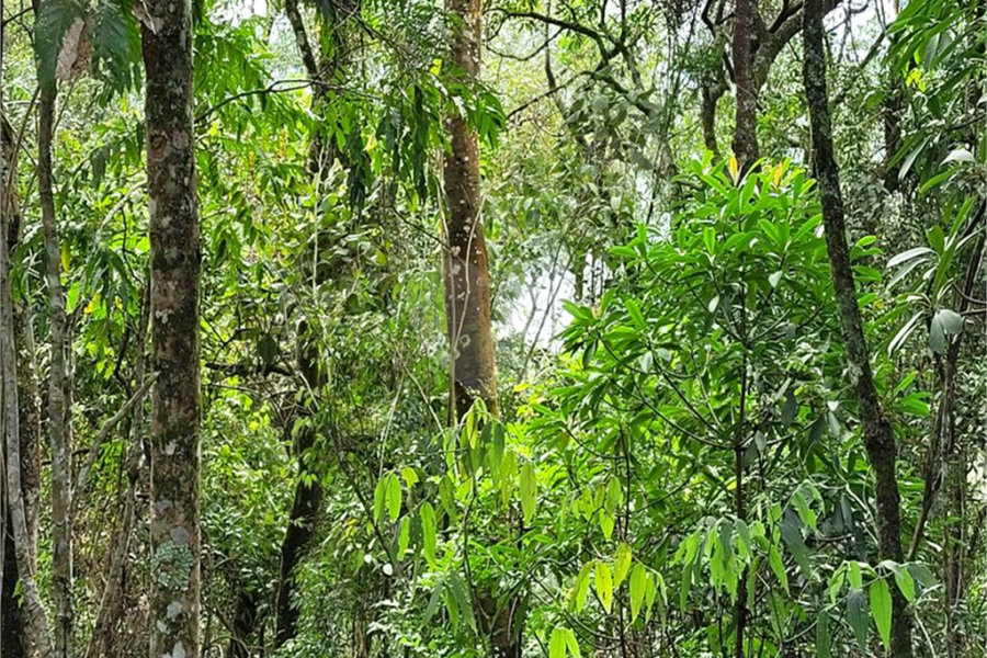 Terreno à venda em Serra da Cantareira, Mairiporã, SP