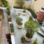Casa à venda com 3 quartos em Jardim São Paulo(zona Norte), São Paulo, SP
