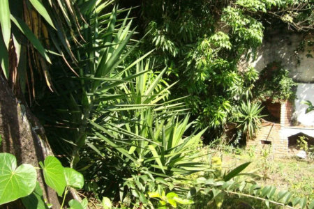 Casa à venda com 3 suítes em Jardim Leonor, São Paulo, SP