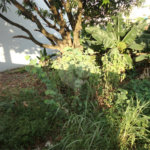 Terreno à venda em Vila São José, Valinhos, SP