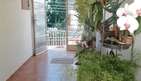 Sobrado à venda com 3 quartos, sendo 1 suíte,  em Chácara Inglesa (zona Norte), São Paulo, SP