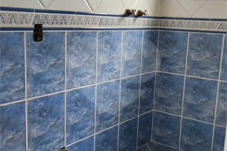 Sobrado à venda com 5 quartos, sendo 3 suítes, em Vila Campestre, São Paulo, SP