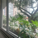 Apartamento à venda com 2 suítes em Vila Madalena, São Paulo, SP