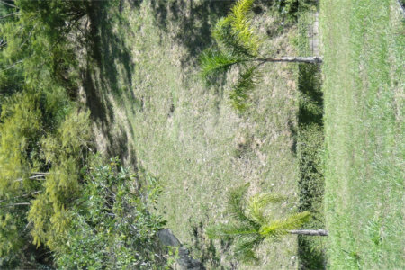 Chácara à venda com 2 quartos, sendo 1 suíte, em Santa Cândida, Vinhedo, SP