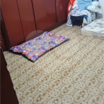 Casa à venda com 4 quartos, sendo 1 suíte, em Tremembé, São Paulo, SP