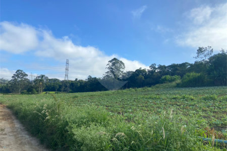 Terreno à venda em Parque Santa Rosa, Suzano, SP