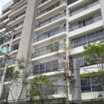 Apartamento à venda ou para alugar com 1 quarto em Santana, São Paulo, SP