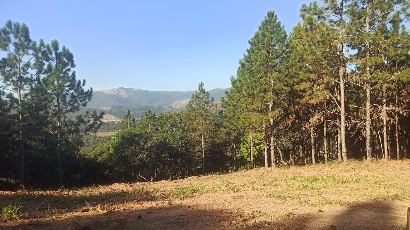 Fazenda Elisa - Fase 3