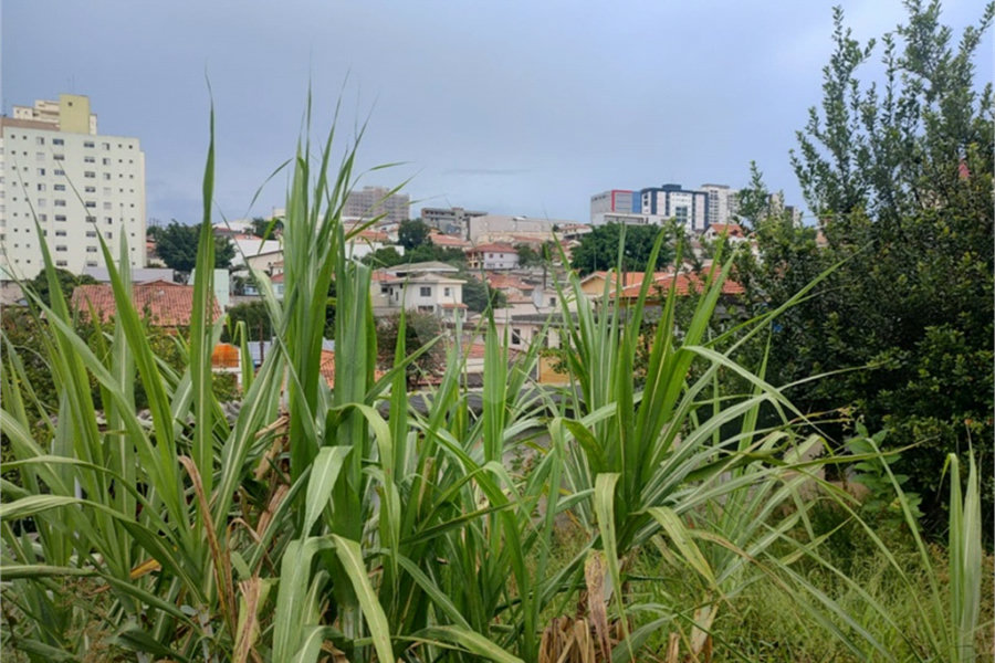 Terreno à venda em Tucuruvi, São Paulo, SP