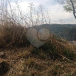 Terreno à venda no condomínio Sem Nome, São Paulo - SP