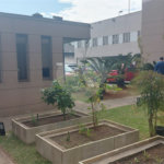 Apartamento à venda com 2 quartos em Vila Guilherme, São Paulo, SP