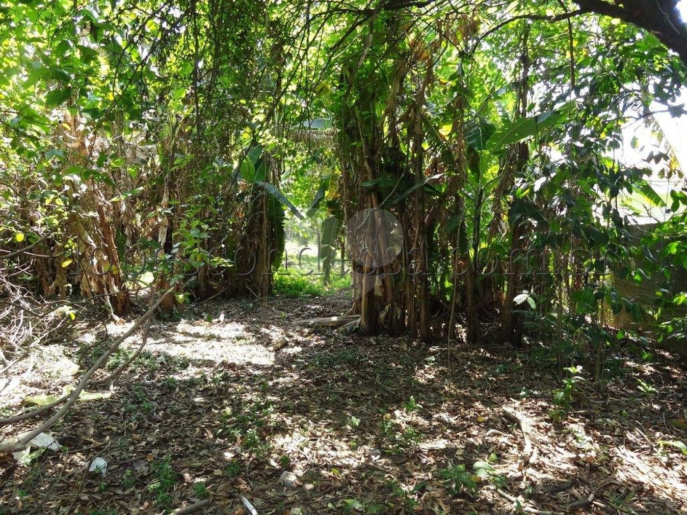 Terreno à venda em Horto Florestal, São Paulo, SP