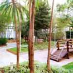 Apartamento à venda com 4 quartos, sendo 2 suítes,  em Vila Suzana, São Paulo, SP