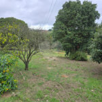 Sítio à venda com 6 quartos, sendo 5 suítes, em Área Rural de Itapetininga, Itapetininga, SP