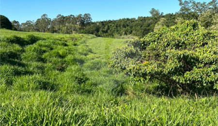 Terreno à venda no condomínio Terras de São José II, Itu - SP