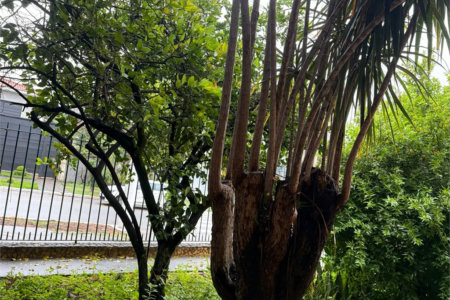 Casa à venda com 3 quartos em Bela Aliança, São Paulo, SP