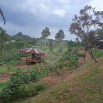 Sítio à venda com 6 quartos, sendo 5 suítes,  em Curral, Ibiúna, SP