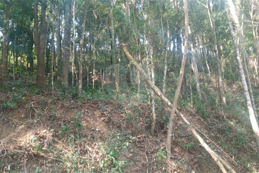 Terreno à venda em Serra da Cantareira, Mairiporã, SP